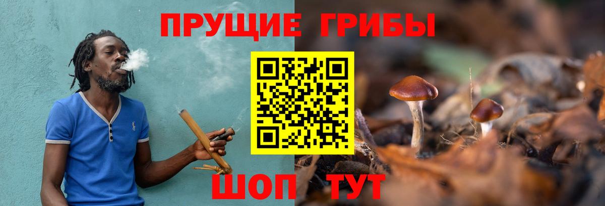 Псилоцибиновые грибы Psilocybine cubensis Нефтеюганск